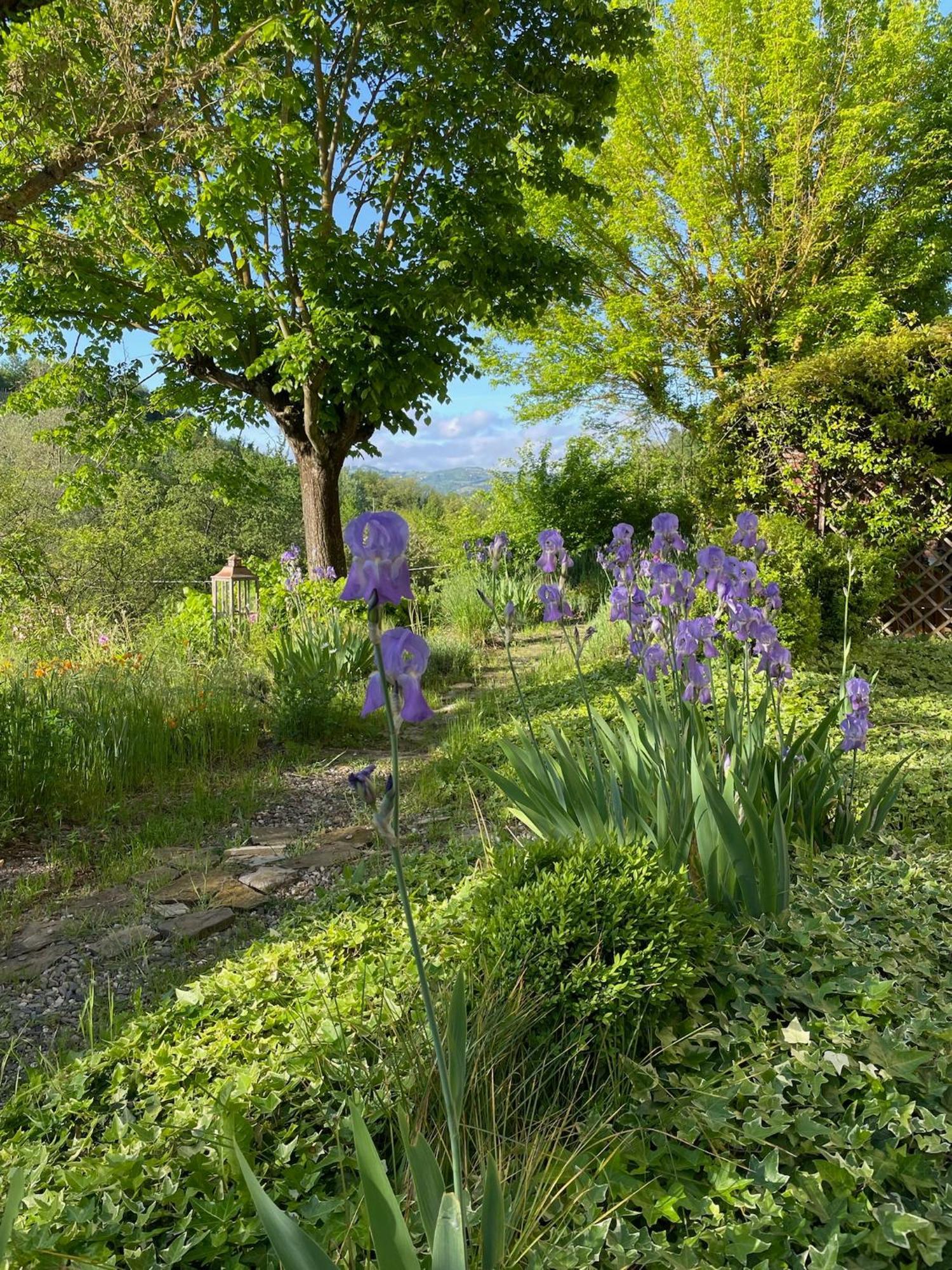 Verdmont Guest House Acqui Terme Luaran gambar